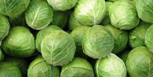 cabbage for a compress for knee arthrosis