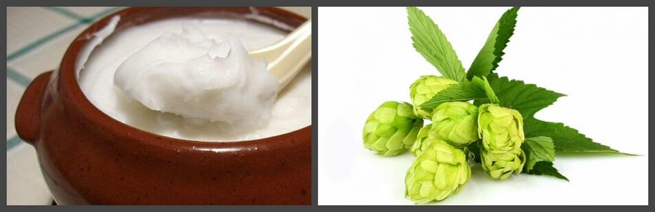 Hops and lard for the preparation of a healing ointment for osteochondrosis