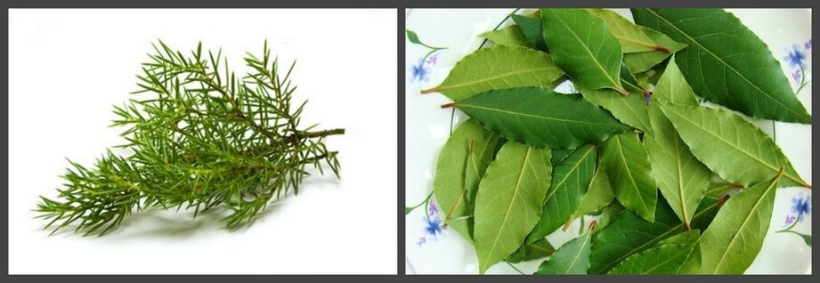 Juniper and bay leaf as part of the ointment will help relieve pain in osteochondrosis